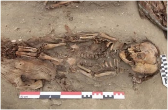 Հնագետները Պերուում հայտնաբերել են 500 տարի առաջ եվրոպացիների բերած ծաղիկից մահացած ինկ երեխաների կմախքներ